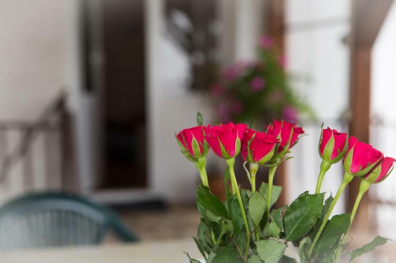 Apartman Antea Otočac Εξωτερικό φωτογραφία